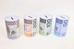 Metal Money Box PLN