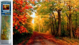 diamantno slikanje jeseni v gozdu 30 × 40 cm