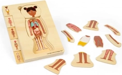 Bigjigs Toys lesene anatomske sestavljanke – deklica