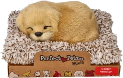 Lajajoči zlati prinašalec na ležišču