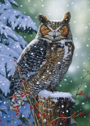 Sestavljanka Tihi opazovalec 500 koščkov ALIPSON