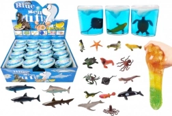 Sluz z morskimi živalcami