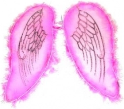 Rožnata krila za angela in vilo