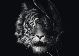 Schmidt sestavljanka Tigrska divjost – utelešenje svobode 1000 kosov