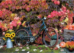 Sestavljanka PIA TNIK Čarobnost jeseni 1000 kosov