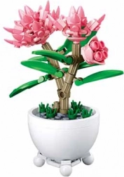 Sluban roža v lončku – rožnate potonike