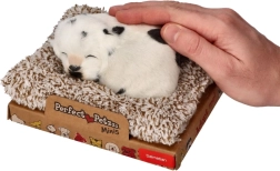 Lajajoči dalmatinec na ležišču