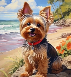 Diamantno slikanje jorkširski terier na plaži 30 × 40 cm