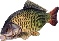 Plišasti krap 52 cm