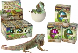 Magično valilno jajce – rastoči kuščar 6 cm