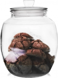 Steklena posoda za živila 2,2 l s pokrovom