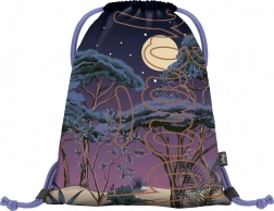 Nahrbtnik za na hrbet Skate Night