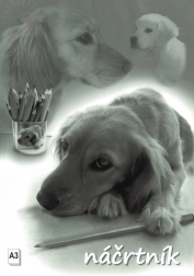 Slikarski blok A3, 20 listov