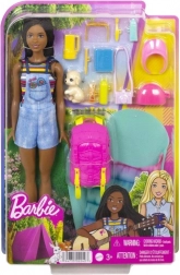 Barbie Brooklyn kamping set z dodatki in kužkom