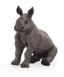 Mojo sediči mladič nosoroga