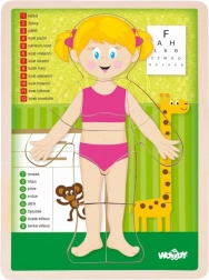 Woody lesena obojestranska sestavljanka človeško telo - deklica