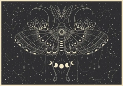 Puzzle Galaxy: Mesečev metulj 500 koščkov