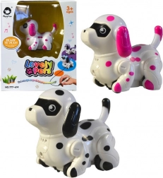 Pesek vozi se po narisani črti