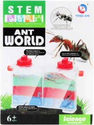 kreativni komplet – svet mravelj