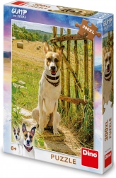 Sestavljanka GUMP Sva dvojica 300 XL koščkov