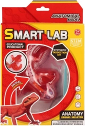 Znanstveni anatomski komplet – kuščar