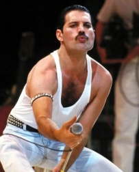 Diamantno slikanje FREDDIE MERCURY 30 × 40 cm