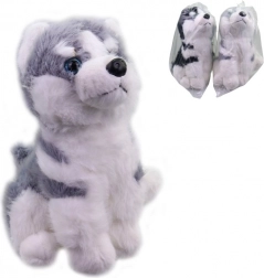 Plišasti kuža husky 25 cm