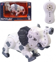 Daljinsko vodeni roboslon