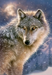 puzzle 500 kosov lone wolf