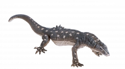 Realistična figura Komodo zmaj