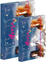 Set škatel za zvezke A4 in A5 – konj