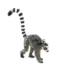 Mojo Lemur z mladičem