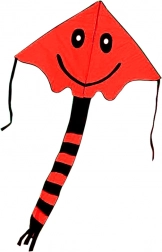 Leteči zmaj z nasmehom 80 × 60 cm