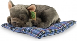 Rappa plišast pes ležeč ECO-FRIENDLY