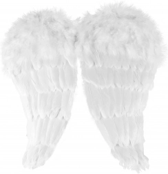 Angelska krila s perjem