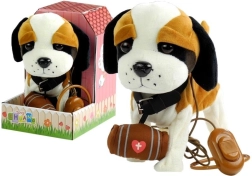 Interaktivni bernardin na povodcu z uto