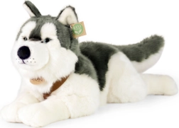 Plišast pes Husky 60 cm EKO PRIJAZNO