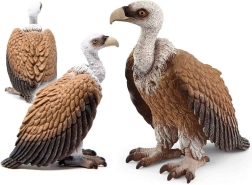 Figura jastreba