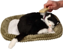 Posvoji me – dihajoča črno-bela mucka