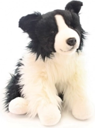 Plišasta border collie 35 cm