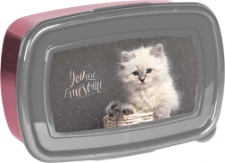 Paso škatla za malico s kužkom 750 ml