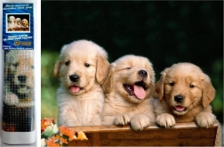 Diamantni mozaik - Trije psi