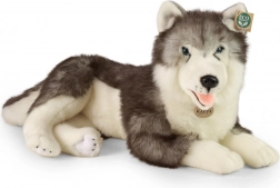 Plišasti pes husky ležeč 60 cm ECO‑FRIENDLY od RAPPA