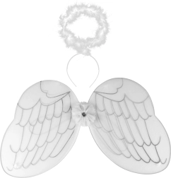 Angel Wings with Halo