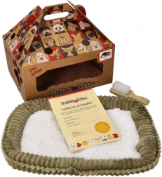 Plišasti pomeranec za posvojitev