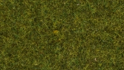 Statična trava Noch divja trava, 9 mm