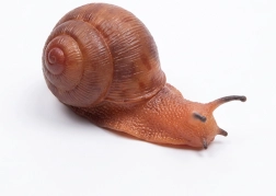 Gumijasti polž 13 cm