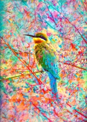 Sestavljanka Srečni ptiček 1000 koščkov