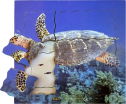 Lesene plastne sestavljanke Želva - 19 delov