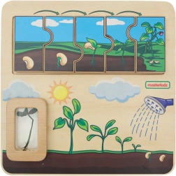 Masterkidz wooden educational board – bean life cycle
